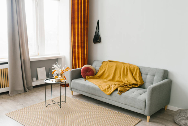 Canapé gris dans le salon dans une natura scandinave minimaliste
 - Photo, image