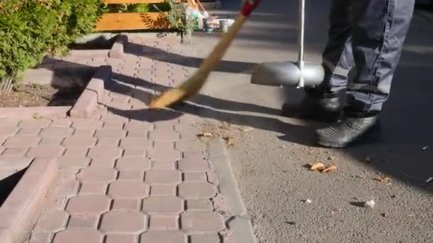 Janitor sweeping leaves on the sidewalk Broom cleans the paving slabs in a scoop - Imágenes, Vídeo