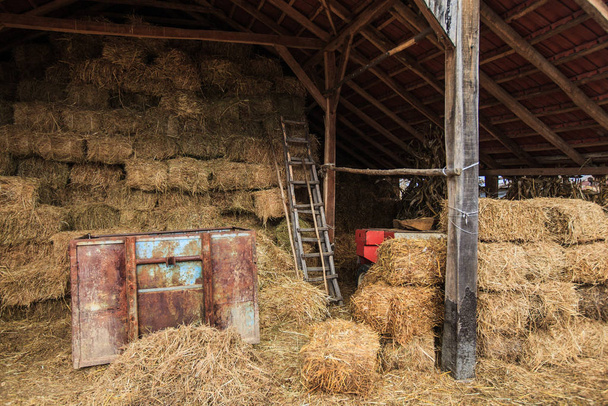 Bales of hay at the rural agricultural farm - Fotoğraf, Görsel