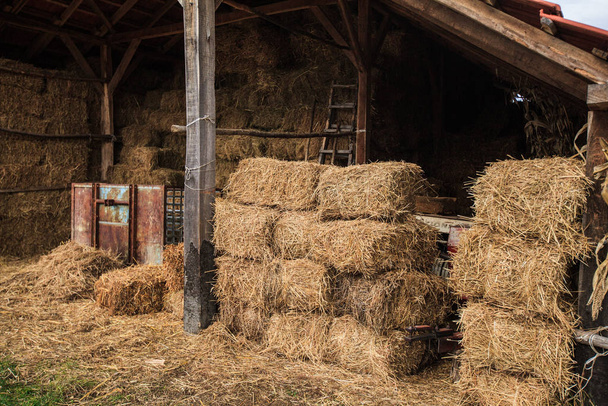 Bales of hay at the rural agricultural farm - Foto, imagen
