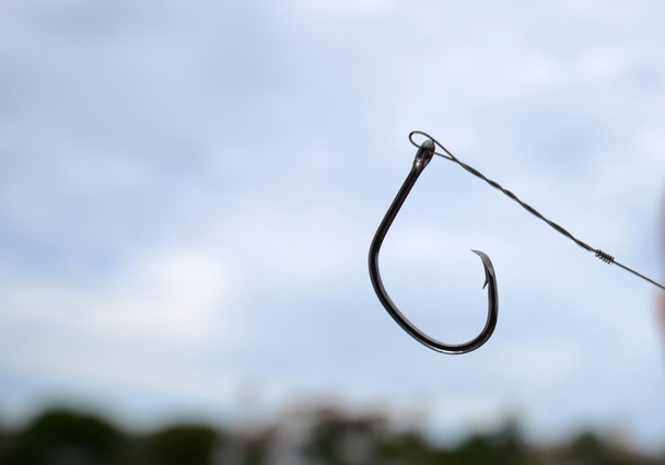 circle hook for fishing - Photo, Image