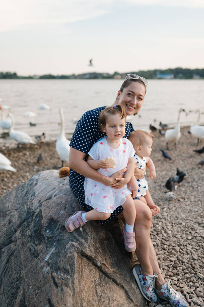 Jeune mère avec sa petite fille filles nourrissant cygne et petits canetons oiseaux pain à une rivière en robe pointillée - Valeurs familiales couleur chaude scène d'été
 - Photo, image