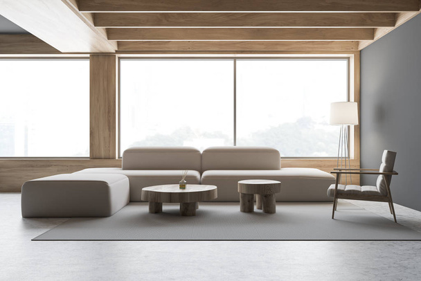Gray and wood Scandinavian style living room - Фото, зображення