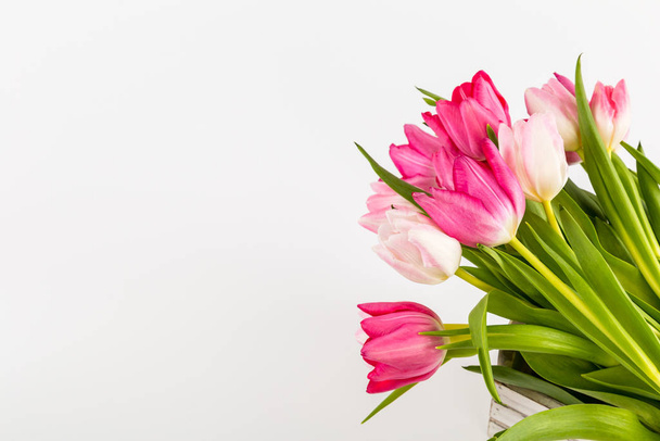 Fresh spring tulips on white - Фото, изображение