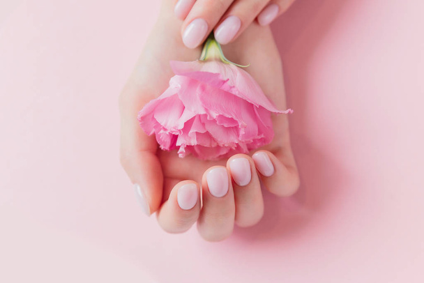 Manucure solide sur ongles fille avec gel poli, mains tenant fleur sur fond rose. Concept naturel bio soin de la peau
 - Photo, image