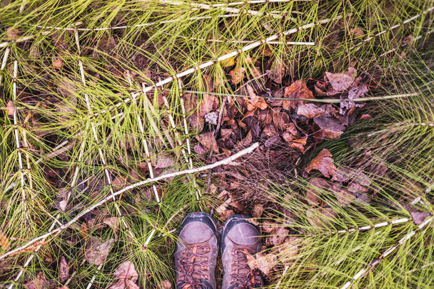 Um explorador cansado pára e olha para a vegetação aos seus pés
. - Foto, Imagem