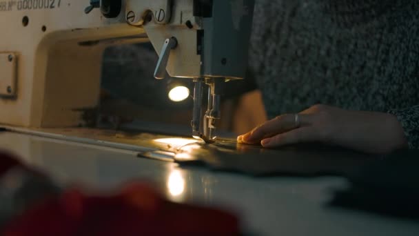 Working sewing machine presser foot stitching - Footage, Video