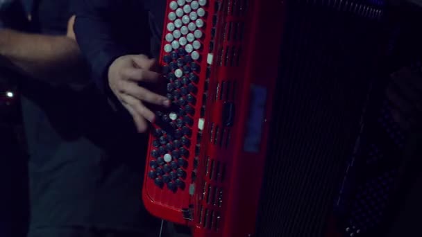 Yüzü olmayan müzisyen siyah arka plana karşı beyaz anahtarla kırmızı akordeon çalıyor. Akordiyoncu klasik retro akordeon çalıyor. - Video, Çekim
