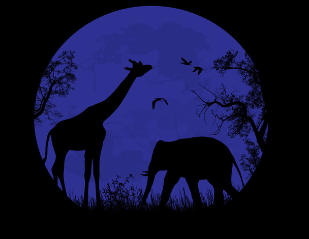 Дикий слон и жираф на голубом закате
 - Вектор,изображение