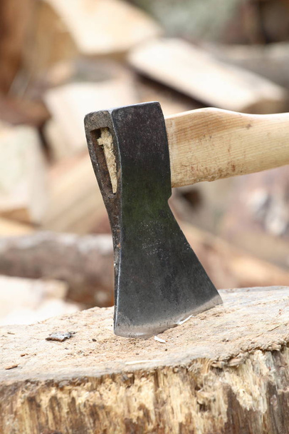 axe in chopping block in front of piles of logs - Fotó, kép