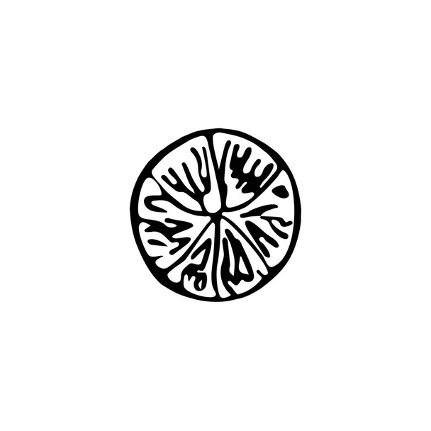 Fatia de limão desenhada à mão única. Ilustração vetorial de doodle
. - Vetor, Imagem