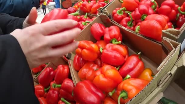 Woman hand choosing fresh organic paprika on a grocery market. Pure organic healthy food. - Footage, Video