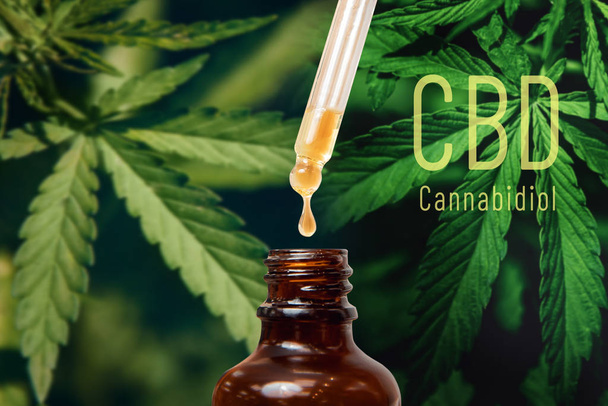 Extractos de aceite de cannabis CBD TNC en frascos de hierbas y hojas. Concepto marihuana medicinal
 - Foto, imagen