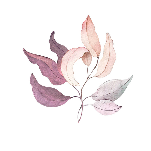 Akvarell illusztráció kézi festés erdő levelek virágok magvak tél ősz csomagolás szövet tapéta textil ágynemű poszter dekoráció képeslap - Fotó, kép
