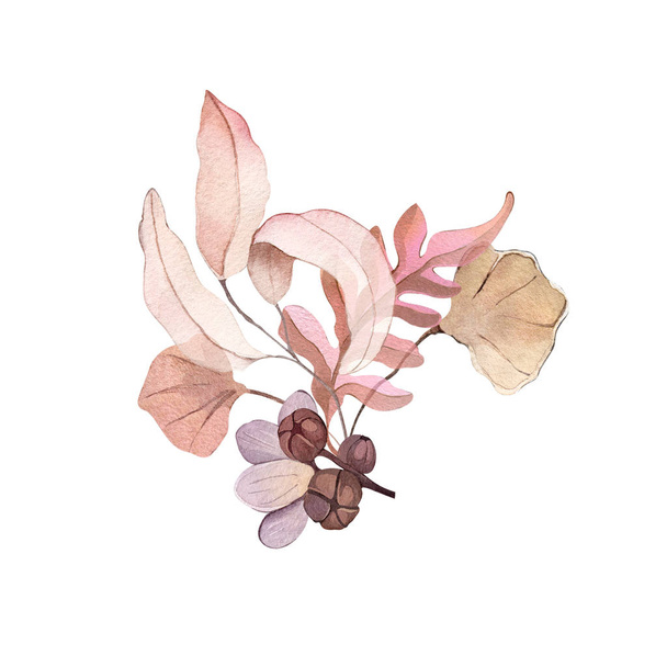 Suluboya resimli el çizimi orman çiçekleri kışın sonbahar tohumları kumaş, duvar kağıtları, çarşaf posterleri ve kartpostal dekoru. - Fotoğraf, Görsel