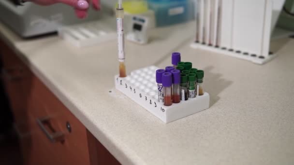 Een vrouwelijke laboratoriumassistent bereidt bloedtesten voor. Moderne medische technologie. Medicinaal lab. - Video
