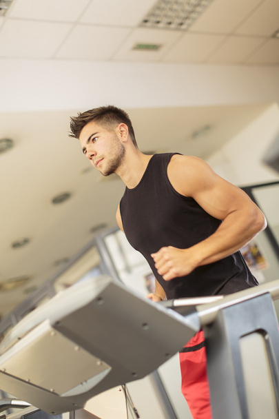 Young man in the gym - Photo, image