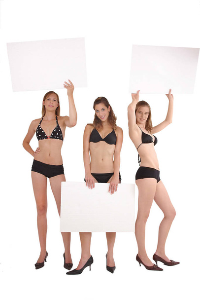 two beautiful girls in underwear holding a blank billboard - Φωτογραφία, εικόνα