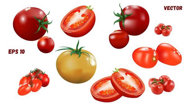 Vector illustration of juicy and fresh tomatoes of different varieties - Διάνυσμα, εικόνα