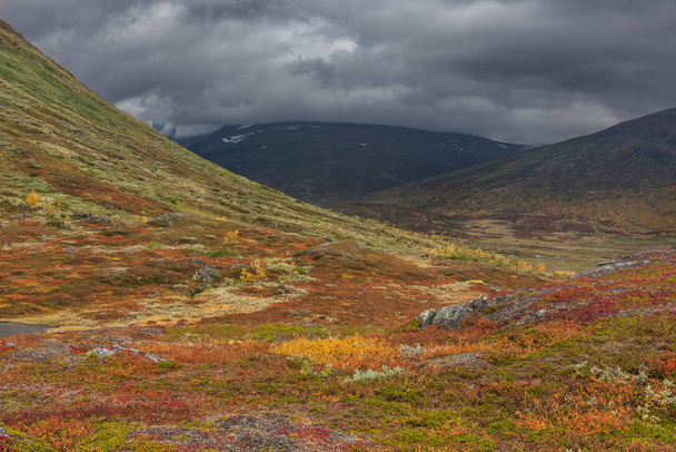 Beautiful wild nature of Sarek national park in Sweden Lapland with snow capped mountain peaks, rivers and lakes, birch and spruce tree forests. Early autumn colors in stormy weather. selective focus - Фото, зображення