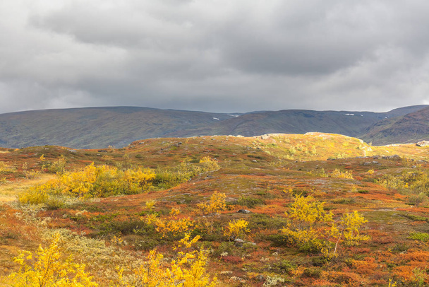 autumn view of Sarek National Park, Lapland, Norrbotten County, Sweden, near border of Finland, Sweden and Norway. selective focus - Foto, Imagen