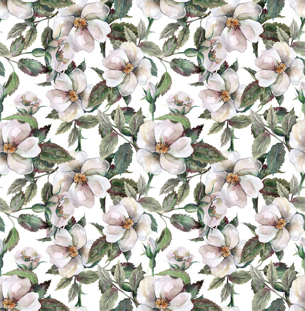 Wild Roses Seamless Pattern - Foto, Imagen