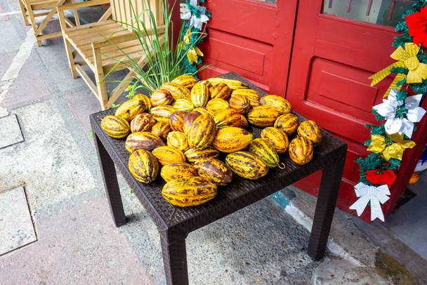 The fresh cocoa fruits at Port Limon in Costa Rica. - Photo, Image