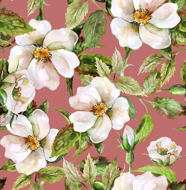 Wild Roses Seamless Pattern - Valokuva, kuva