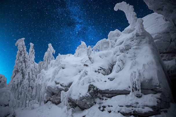 Talvinen metsä vuorilla tähtitaivaalla
 - Valokuva, kuva