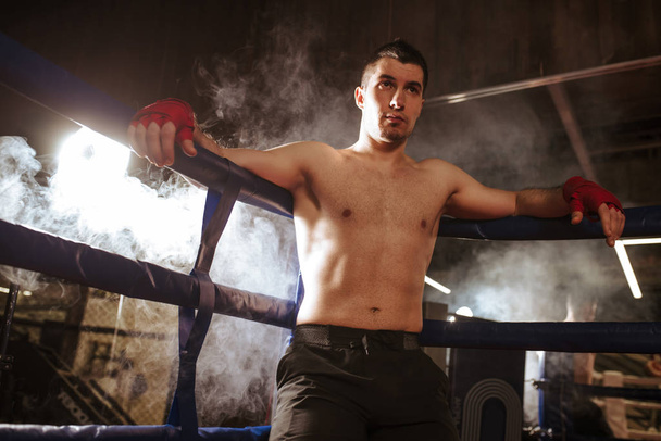 adult kickboxer man in boxing gloves - Foto, Imagem