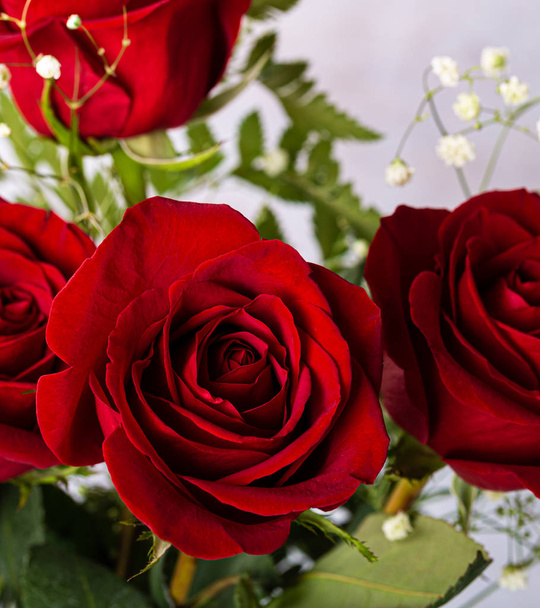 Arrangement of Red Roses - Foto, Imagen