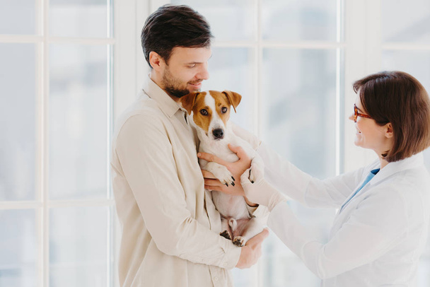 Animal care and diagnosis concept. Shot of vet, dog owner and jack russell terrier pose in veterinarian clinic, doctor examines sick animal, gives prescriptions, stand in medical office or hospital - Photo, Image