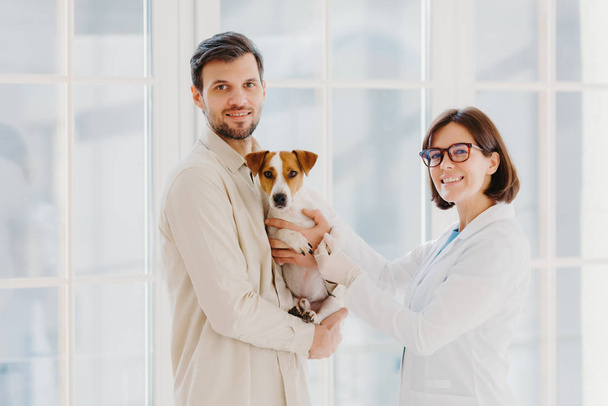 Właścicielka zwierząt domowych i mężczyzn pozuje z ulubionym psem, przychodzi do weterynaryjnego biura lub szpitala na badania lekarskie, stoją razem pod dużym oknem, rozmawiają ze sobą, udzielają przydatnych porad - Zdjęcie, obraz