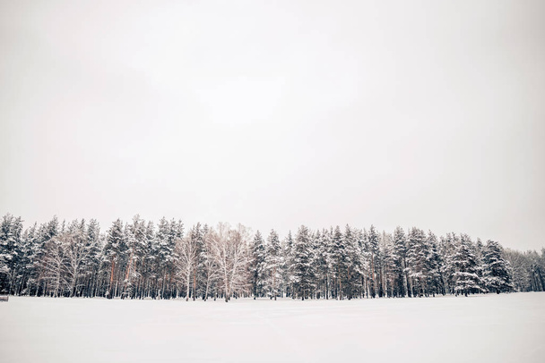 Kaunis talvi luonto, valkoinen lumi
 - Valokuva, kuva