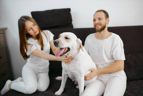 cheerful couple play wiith pet dog on sofa at home - Fotó, kép