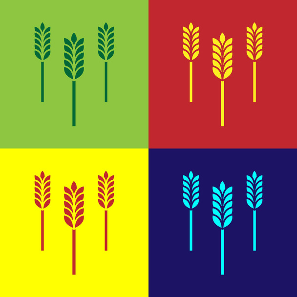 Color Cereals set with rice, wheat, corn, oats, rye, barley icon isolated on color background. Ears of wheat bread symbols. Vector Illustration - Vector, Image