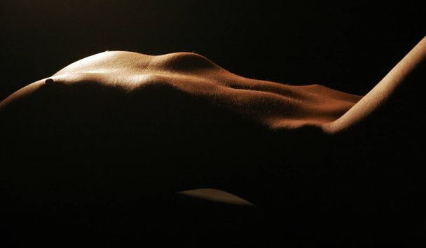 nude photo of woman, naked female - Fotoğraf, Görsel