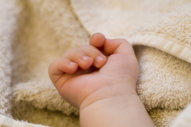 hand of a baby - Foto, afbeelding