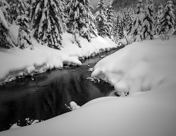 Snow coberto congelado belo Gold Creek Pond com árvores cobertas de neve e trilha durante o inverno no Alpine Lakes Wilderness em Kittitas County Washington State
 - Foto, Imagem