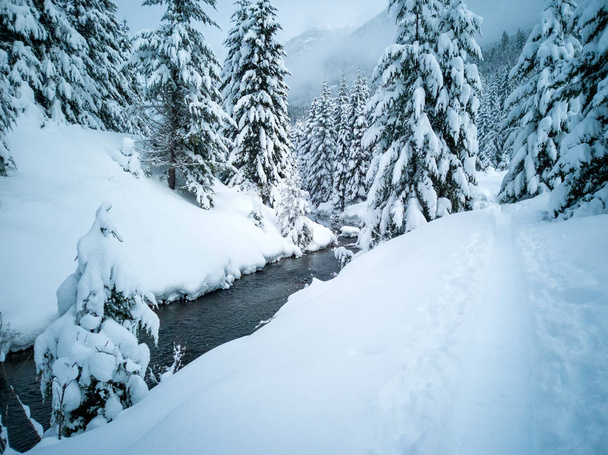 Sneeuw bedekt bevroren prachtige Gold Creek Pond met besneeuwde bomen en trail tijdens de winter in de Alpine Meren Wilderness in Kittitas County Washington State - Foto, afbeelding