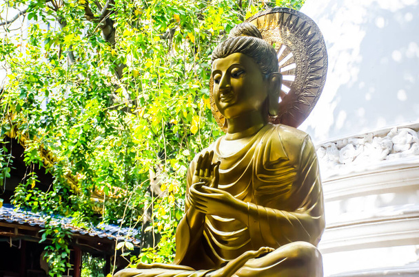 Colombo / Srilanka 27. prosince 2019: Socha Zlatého Buddhy v chrámu Gangaramaya v Colombu, Srilanka - Fotografie, Obrázek