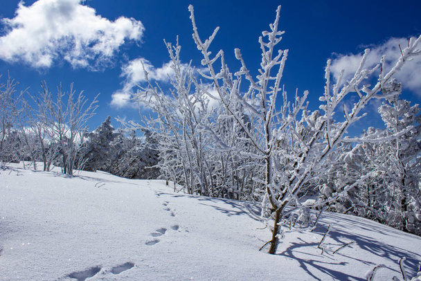 Fichtelberg Oberwiesenthal 'de kış manzarası - Fotoğraf, Görsel