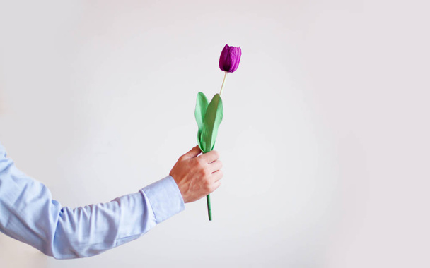 Womens day. man with tulip for March 8. Spring gift.  - Foto, immagini