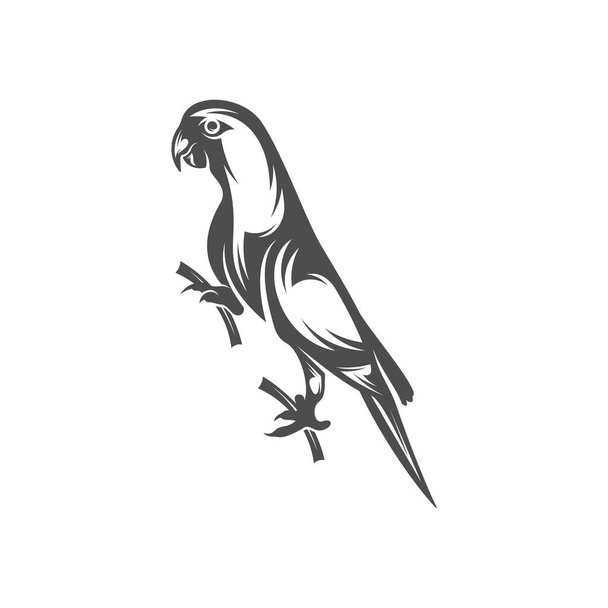 Дизайн логотипа попугая векторная иллюстрация, шаблон логотипа попугая
 - Вектор,изображение