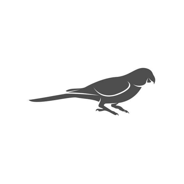 Papagáj logó ikon design vektor illusztráció, Papagáj logó sablon - Vektor, kép