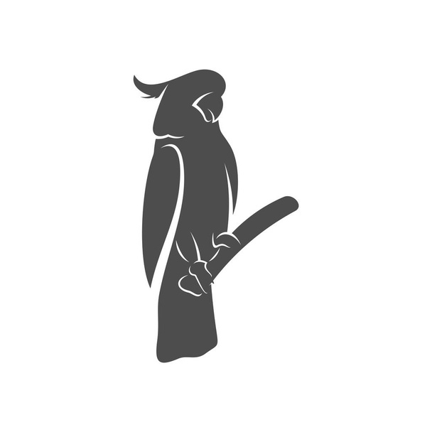 Ilustração do vetor do projeto do ícone do logotipo do papagaio, modelo do logotipo do papagaio
 - Vetor, Imagem