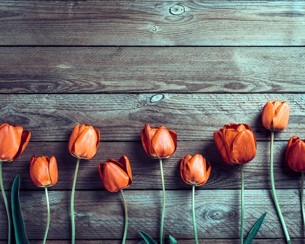 Row vörös tulipán fa háttér helyet a szöveg, üzenet. Anyák napja, Hello Spring koncepció. Kártya. Lapos fekvés. Első látásra. Rusztikus stílus. Feltöltve.  - Fotó, kép