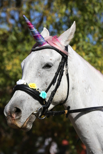 Güzel sihirli tek boynuzlu at gerçekçi fotoğrafçılık  - Fotoğraf, Görsel