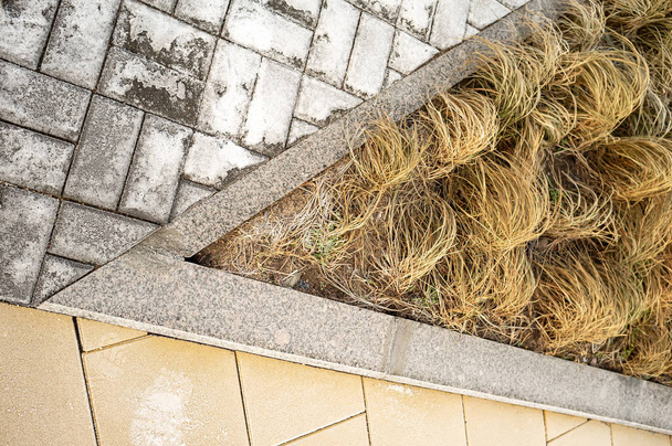 Varie pavimentazione del marciapiede, un confine e un prato con erba secca, coperto di hoarfrost in inverno. Contesto. Texture
. - Foto, immagini