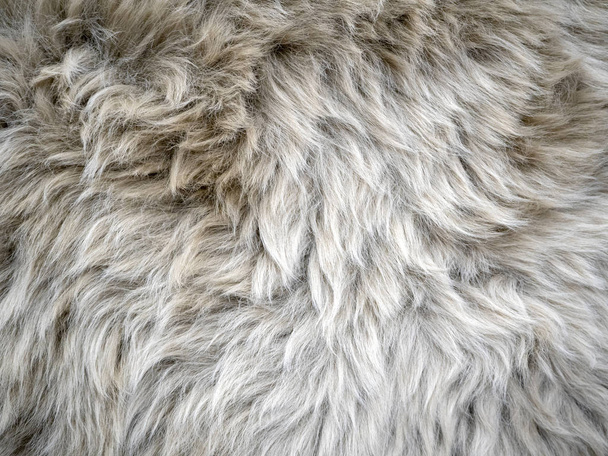 Wool background. Faux fur detail - Photo, Image